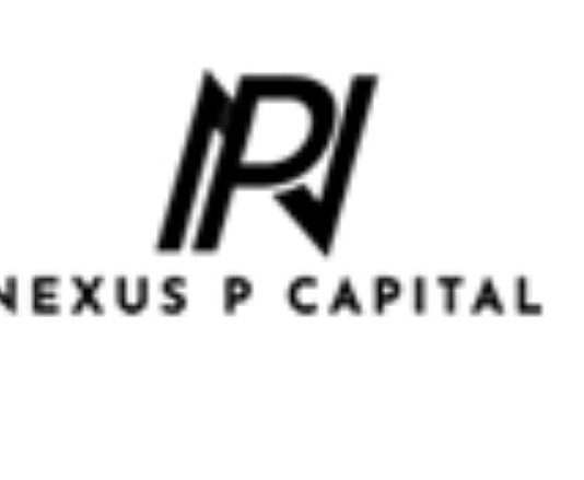Nexus P Capital Erfahrungen (nexuspcapital.com) nexus p capital erfahrungen