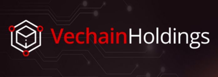 vechain holdings erfahrungen vechain holdings erfahrungen