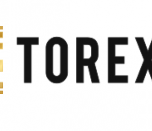 Torex FX Erfahrungen (torexfx.com) Torex fx erfahrungen